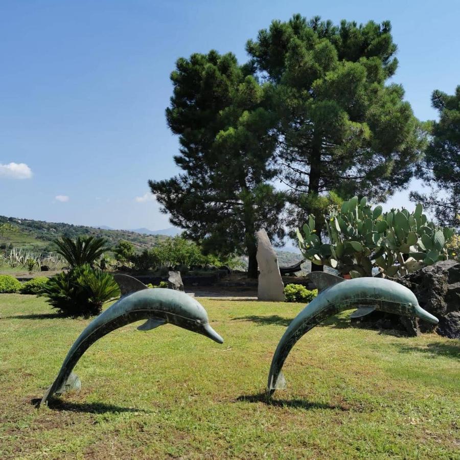 Villa Alessio - Case Vacanza Con Piscina Sull'Etna Puntalazzo Exteriör bild